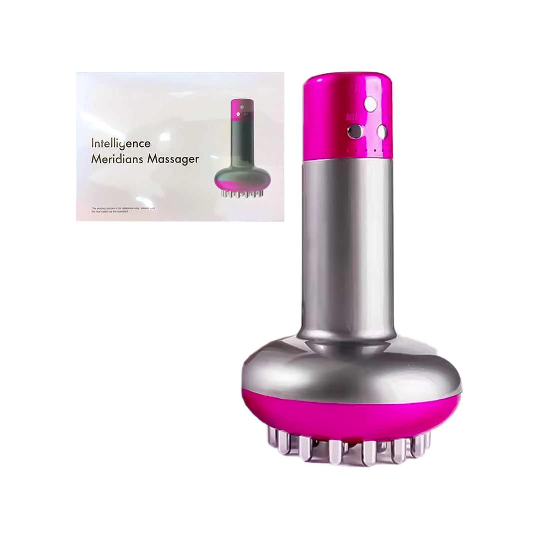 MASAJEADOR CORPORAL MERIDIANS MASSAGER