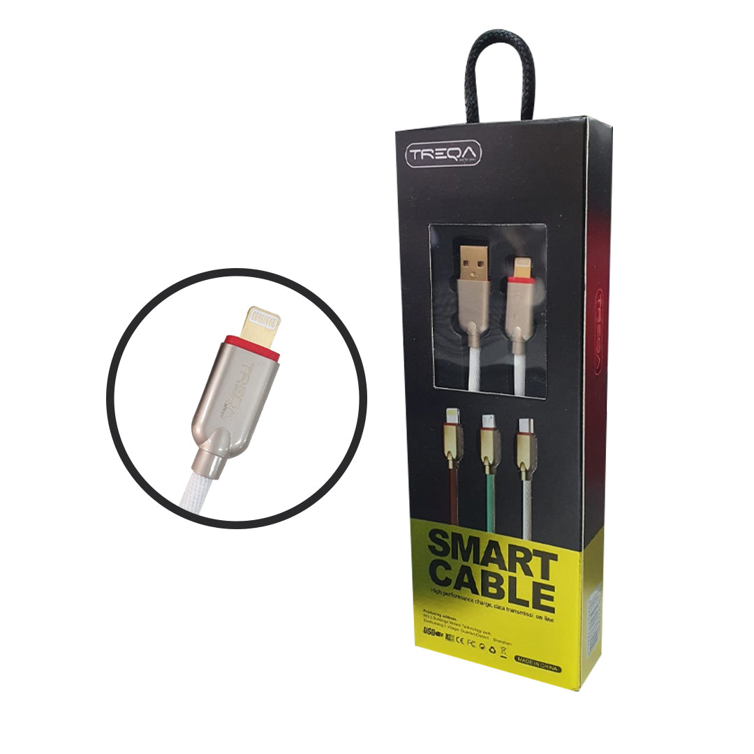 CABLE LIGHTNING CA-8012