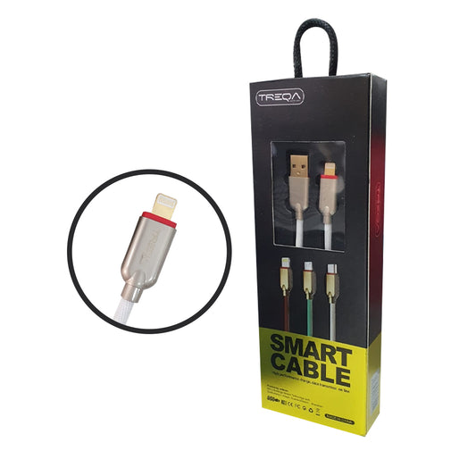 CABLE LIGHTNING CA-8012