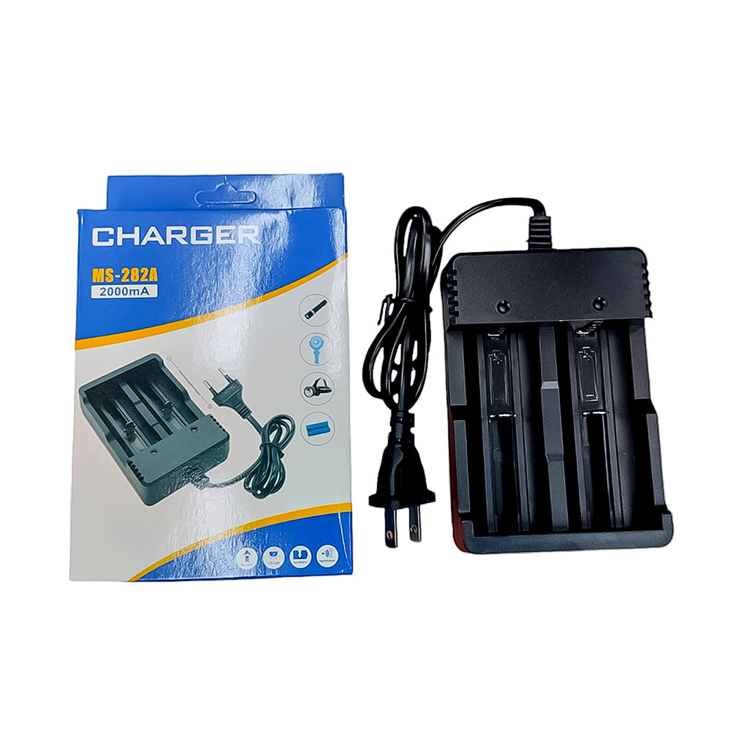 CARGADOR DE PILAS DELEEX