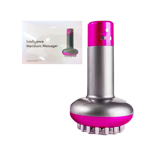 MASAJEADOR CORPORAL MERIDIANS MASSAGER